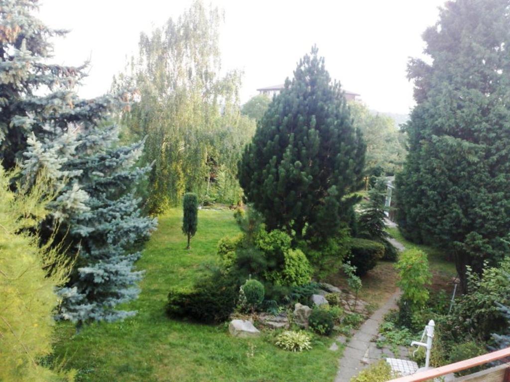 V Jeskyni Olomouc
